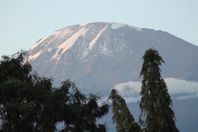 Kilimandscharo -Das weiße Dach Afrikas